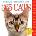 WORKMAN Cal 26 365 cats | box