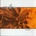 Endless - Vital 1 CD