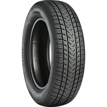 GRIPMAX SUREGRIP eWINTER 225/55 R17 101V