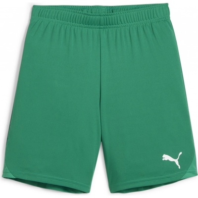 Puma Teamgoal shorts jr 705753 05 zelená