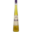 Galliano Vanilla 30% 0,7 l (čistá fľaša)