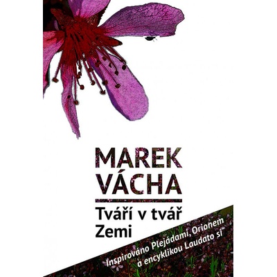Tváří v tvář Zemi. Inspirováno Plejádami, Orionem a encyklikou Laudato si´ - Marek Orko Vácha