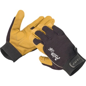 CAMP Axion light m