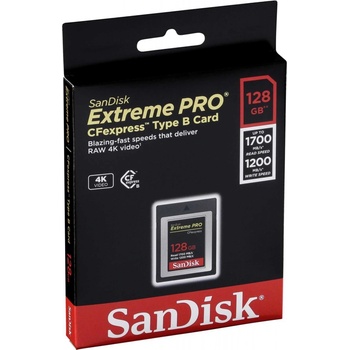 SanDisk 128GB SDCFE-128G-GN4NN