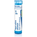HEPAR SULFURIS CALCAREUM POR 9CH GRA 4G