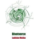 Divotvorce
