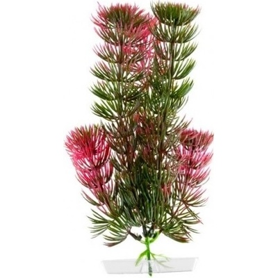 JK ANIMALS Red Anacharis 13-16 cm