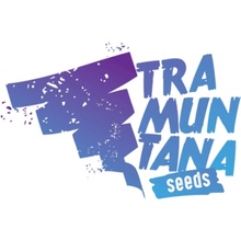 Tramuntana Seeds Strawnana Mints semena neobsahují THC 5 ks