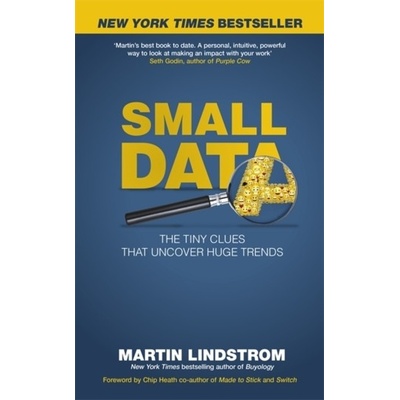 Small Data Lindstrom Martin