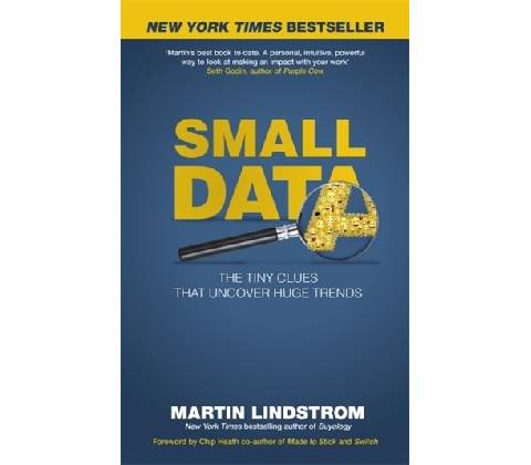 Small Data Lindstrom Martin