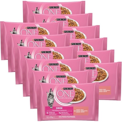 PURINA ONE JUNIOR мултипакет 48 x 85 г