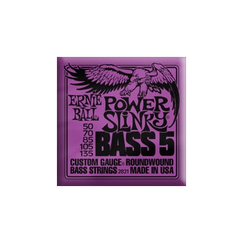 Ernie Ball 2821