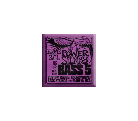 Ernie Ball 2821