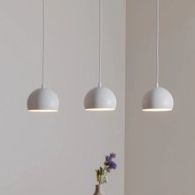 Luminex 1212
