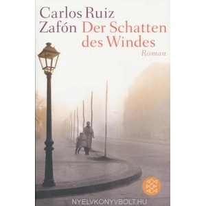 Der Schatten des Windes | Carlos Ruiz Zafón, Peter Schwaar (2013)