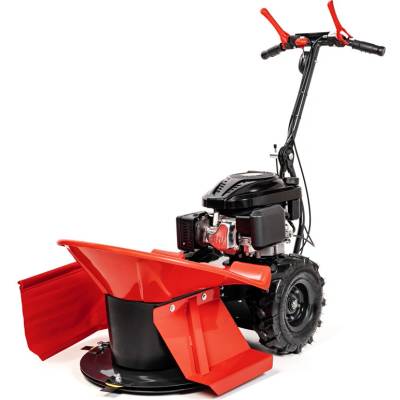 Hahn & Sohn Cedrus KR58-L