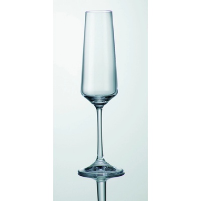 CZ sklen NAOMI CORVUS šamp flétna 6 x 160 ml