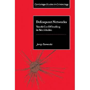 Delinquent Networks | Jerzy Sarnecki