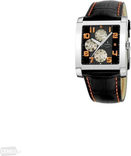 Festina F16235/9