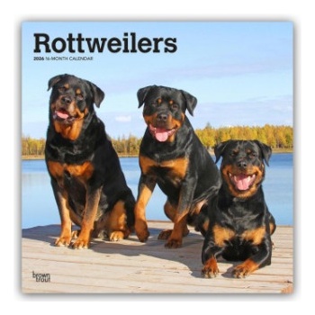 Browntrout Verlags GmbH Rottweilers - Rottweiler 2026 - 16-Monatskalender