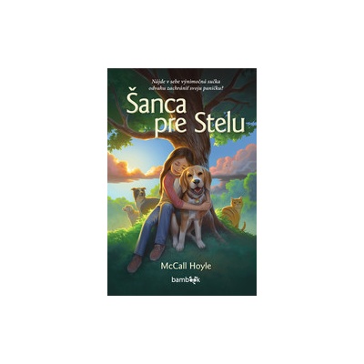 Šanca pre Stelu