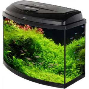 AQUAEL Аквариум AquaEl Classic BOX 40 PROMO - овал (4725)