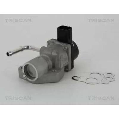 TRISCAN AGR ventil TRI 8813 10014