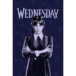 Jerry Fabrics Тъмносиньо детско одеяло от флийс 100x150 cm Wednesday - Jerry Fabrics (24BL040)