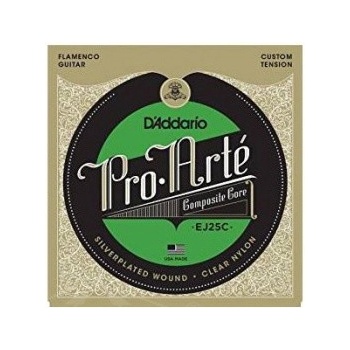 D'Addario EJ25C