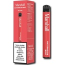 Marshall Watermelon Mint 20 mg 600 poťahov 1 ks