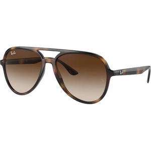Ray-Ban RB4376 710/13 Слънчеви очила