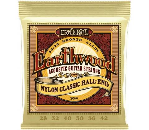 Ernie Ball 2069