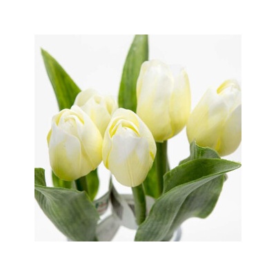 Kristian Samson Tulipán kus 40cm krémový F244-W