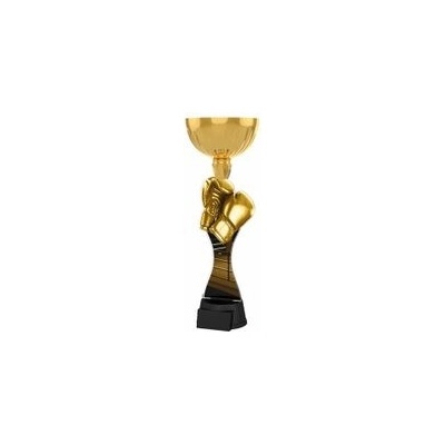 Poháry Bauer Akrylátová trofej ACUPCGNM13 Bojová umění