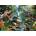 Cobble Hill - Puzzle Prehistoric Beasts - 500 piese