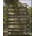Houses & Materials