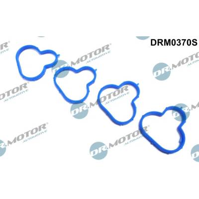 DR.MOTOR AUTOMOTIVE Sada tesnení kolena nasávacieho potrubia DRM0370S