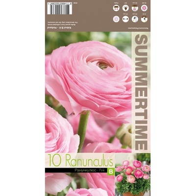 Seklos Лютиче Розово Ranunculus Pink - 10 бр луковици
