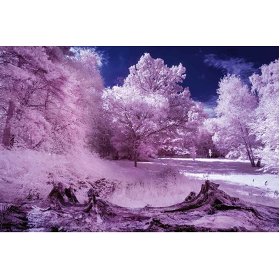 DIMEX ART Флизелинов фототапет инфрачервена гора 375 x 250 см