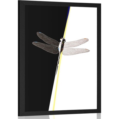 Plakát krása vážky - 40x60 no frame