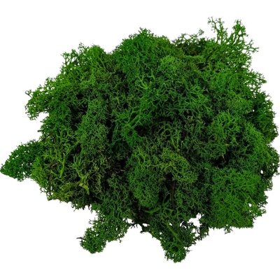 Severský mech 300g 05 lesní zelená