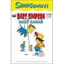 Bart Simpson Malý ranař