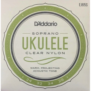 D'addario EJ65S