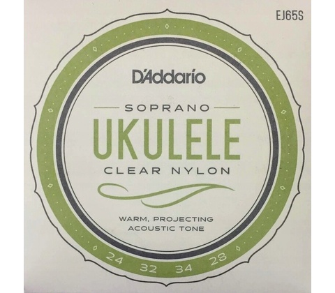 D'addario EJ65S