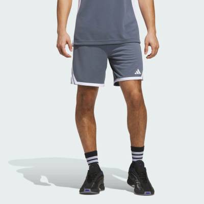 adidas Šortky 3G Speed Basketball AEROREADY šedá
