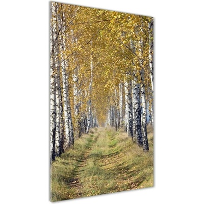 Vertikálny foto obraz sklenený Brezový les 50x100 cm