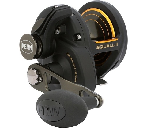 Penn Squall II 40NLD