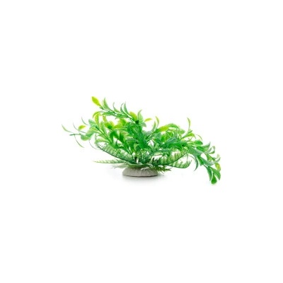 JK Animals Ludwigia zelená 15 cm