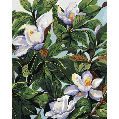Zuty Malování Podle Čísel Bílé Květy Magnólie A Listy Alexandria Gilbert 40 x 50 cm Plátno