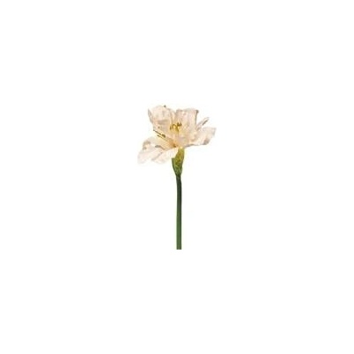 umělá květina, Hvězdník - Amaryllis / Hippeastrum Aline růžový/zelený V63 cm